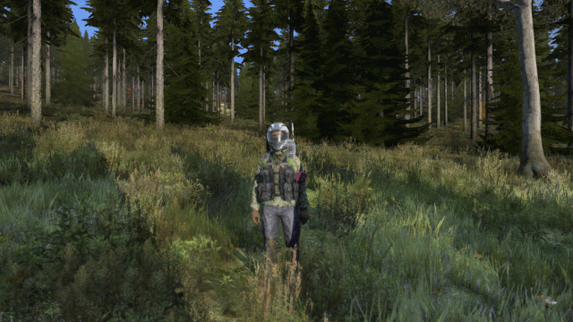DayZ004